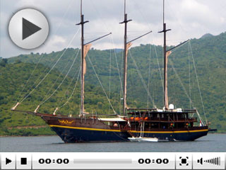 WAOW Liveaboard Dive Video