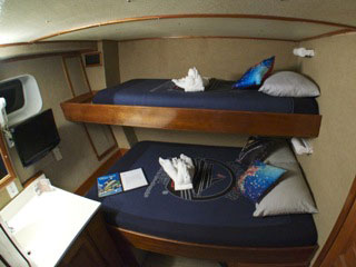 One of the Belize Aggressor's Deluxe cabins