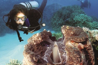 PADI Discover Scuba Diving with Dive The World
