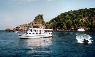 The Dolphin Queen in the Similan Islands