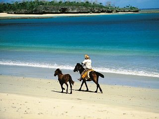 Horse riding is available at Namale Resort, Savusavu - photo courtesy of Fiji Visitors Bureau