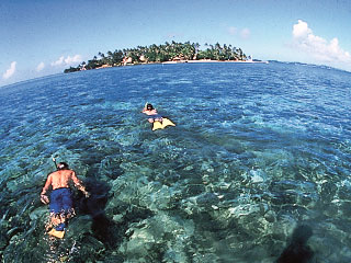 Snorkelling in Fiji - photo courtesy of Fiji Visitors Bureau