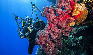 Visibility and reef health at Holmes Reef, Australia - photo courtesy of Spoilsport