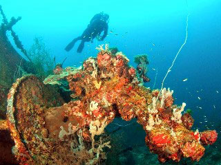 Diving the Teshio Maru Japanese warship wreck, Peleliu, Palau