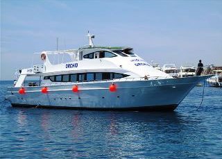The Orchid Sharm El Sheikh day trip boat in the Red Sea