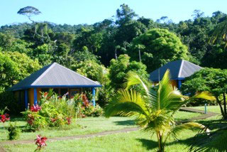 The garden setting for the bures at Waidroka Bay Surf and Dive Resort, Viti Levu