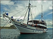 Red Sea liveaboards are some of the finest high quality and value for money diving safaris in the world Red Sea liveaboards are some of the finest high quality and value for money diving safaris in the world