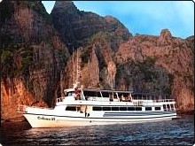 The Colona VI The Colona VI