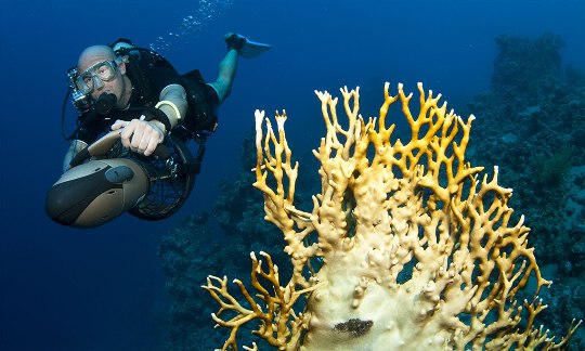 padi advanced open water pdf