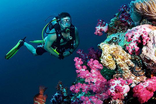 diving in krabi ao nang thailand dive the world vacations