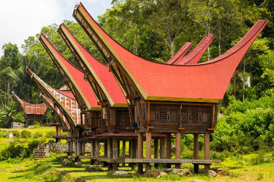 Why Is My Insurance So High >> Sulawesi Adventure Tours - Indonesia Tourism | Dive The World Why Is My Insurance So High >> Sulawesi Adventure Tours - Indonesia Tourism | Dive The World