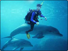 Are you an annoying diver? Are you an annoying diver?