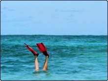 We all look the same when diving. Who's fins could these be? ... We all look the same when diving. Who's fins could these be? ...