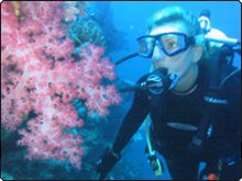 Women can dive too - photo courtesy of Koro Sun Resort Women can dive too - photo courtesy of Koro Sun Resort