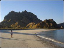Beachcombing on one of the Komodo Islands - photo courtesy of Gavin Macaulay Beachcombing on one of the Komodo Islands - photo courtesy of Gavin Macaulay