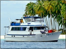 Read our frequently asked Burma diving questions Read our frequently asked Burma diving questions