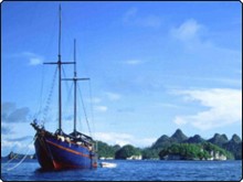 Shakti in Raja Ampat, West Papua, Indonesien Shakti in Raja Ampat, West Papua, Indonesien