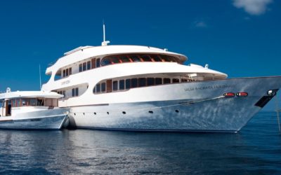 Save On Carpe Vita Explorer Liveaboard Trips