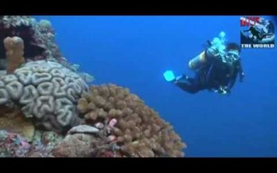 Save Up to US$ 520 per Diver at Layang Layang