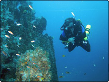 A diver on one of the Usukan Bay Wrecks