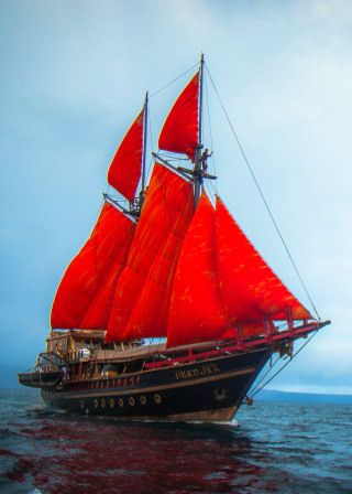 Calico Jack diving liveaboard, image courtesy of K. Vackova