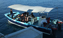 Do more dives at Sipadan by enduring life on board the Celebes Explorer!