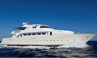 US$ 100 Voucher For Red Sea Liveaboard SS Excellence