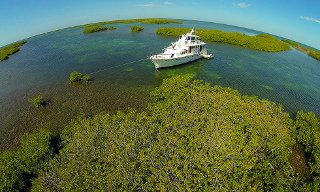 Have a pioneering spirit? Consider these remote diving holidays