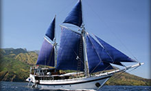 The beautiful Bali liveaboard Indo Aggressor