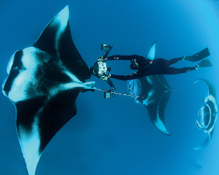 Mantas in Maldives with Thomas Peschak