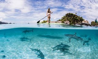 Misool lagoon, image courtesy of Shawn Heinrichs