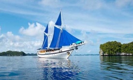 Palau Siren 2016 discounts