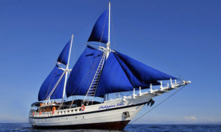 Philippine Siren Shark Research Cruise in Tubbataha