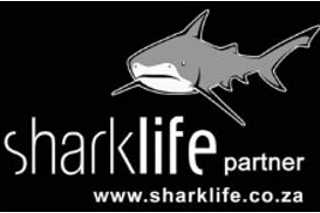 Sharklife_1