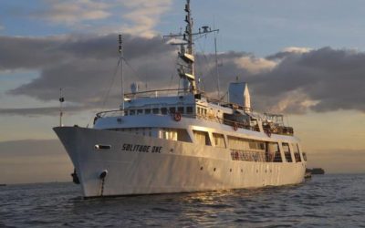 Palau Liveaboards – Special launch offers