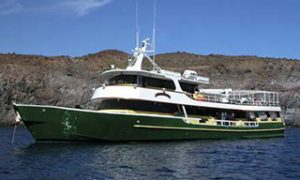 Take this chance to board the magnificent Mexico liveaboard MV Solmar V