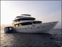 MV Amba liveaboard with here dive tender in the Maldives