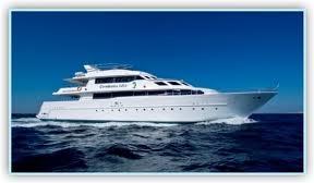 US$ 100 Discount: Red Sea Liveaboard Contessa Mia