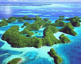 Planning a Dive Holiday? Learn About the Palau Eco Pledge