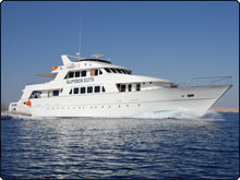 MV Emperor Elite liveaboard in the Red Sea