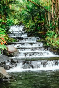 Tabacon Hot Springs, Alajuela - photo courtesy of Ezgi Kimball, Unsplash