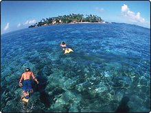 Snorkelling in Kadavu, Fiji Islands - photo courtesy of Fiji Visitors Bureau