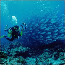 New Destination – Dive Australia’s Great Barrier Reef