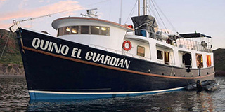 The cheap and cheerful Quino El Guardian