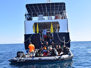 Diving Socorro and the Sea of Cortez from Quino El Guardian