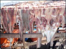 Guitar shark carcasses drying on illegal fishing boat