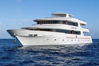 Carpe Vita Explorer liveaboard