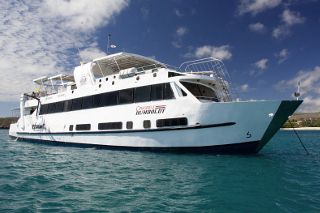 Galapagos liveaboard, Humboldt Explorer