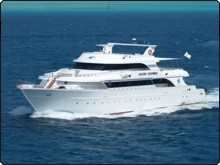 Cruise the Red Sea on the MY Golden Dolphin II Liveaboard