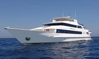 MS Royal Evolution liveaboard in the Red Sea